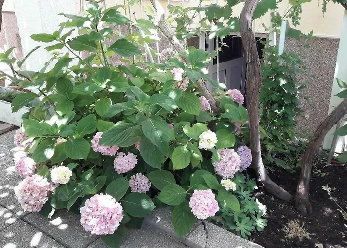 Goodmood * سبليت